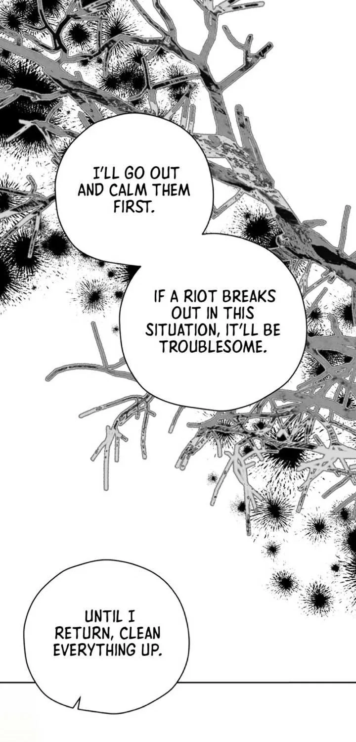Page 215